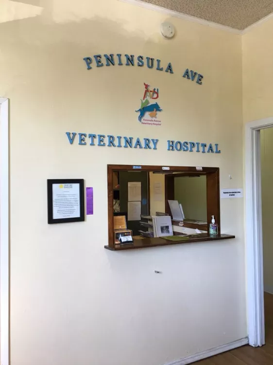 Peninsula Avenue Veterinary Clinic, California, San Mateo